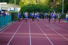 Enlarge photo 250