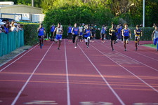 Enlarge photo 252