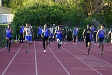 Enlarge photo 251