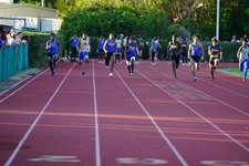 Enlarge photo 253