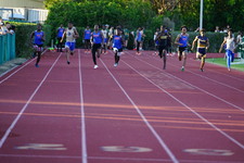 Enlarge photo 254