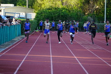 Enlarge photo 255