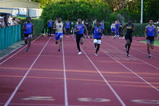 Enlarge photo 259