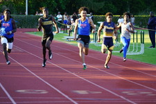 Enlarge photo 265