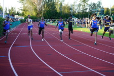 Enlarge photo 270
