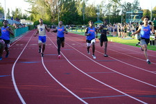 Enlarge photo 272