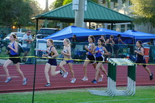Enlarge photo 276