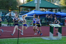 Enlarge photo 278