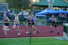 Enlarge photo 279