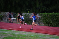 Enlarge photo 377