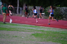 Enlarge photo 380
