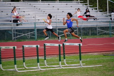 Enlarge photo 399