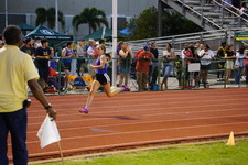 Enlarge photo 459