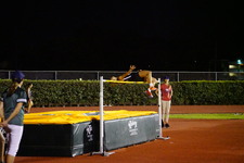 Enlarge photo 524