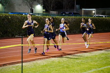 Enlarge photo 594