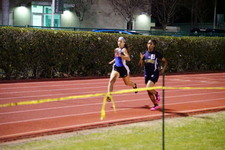 Enlarge photo 599