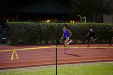 Enlarge photo 705