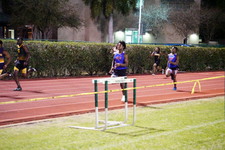 Enlarge photo 785