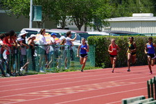 Enlarge photo 96