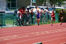 Enlarge photo 99