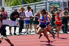 Enlarge photo 106