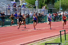Enlarge photo 113