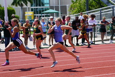 Enlarge photo 119
