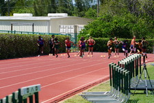 Enlarge photo 118