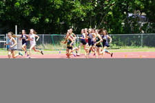 Enlarge photo 148