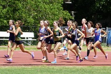 Enlarge photo 144