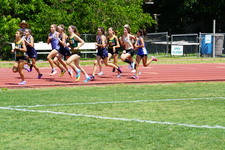 Enlarge photo 146