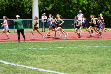 Enlarge photo 149