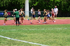 Enlarge photo 151