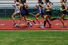 Enlarge photo 164