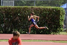 Enlarge photo 263