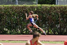 Enlarge photo 265
