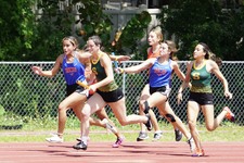Enlarge photo 266