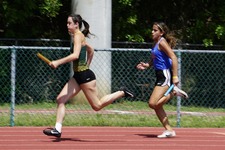 Enlarge photo 273