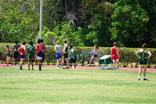Enlarge photo 286