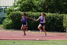 Enlarge photo 287