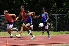 Enlarge photo 313
