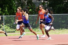 Enlarge photo 317
