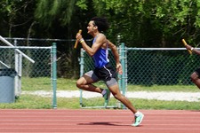 Enlarge photo 322