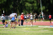 Enlarge photo 328