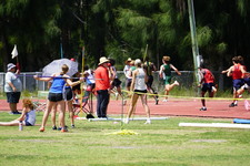 Enlarge photo 329