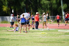 Enlarge photo 330