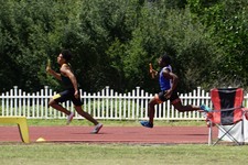 Enlarge photo 331