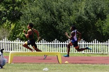Enlarge photo 332
