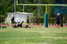Enlarge photo 335