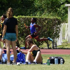 Enlarge photo 337